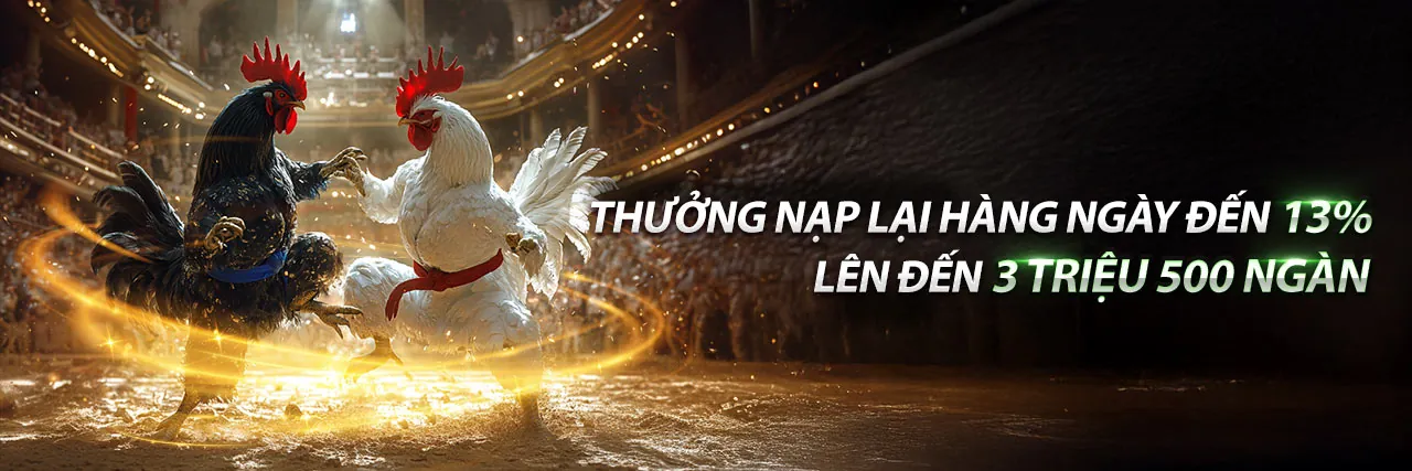 Sân đá gà trực tiếp Dabet VN